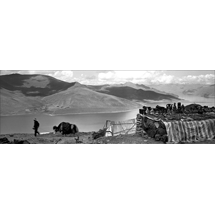 TIBET PANORAMA